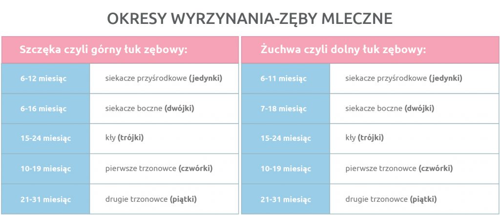 This image has an empty alt attribute; its file name is zeby-tabelka-okresy-wyrzynania-1024x441.jpg